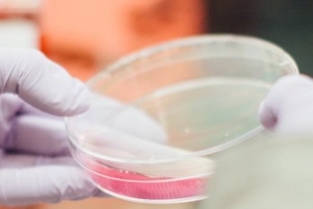 Researchers Engineer Biofilm Capable of Producing Electricity